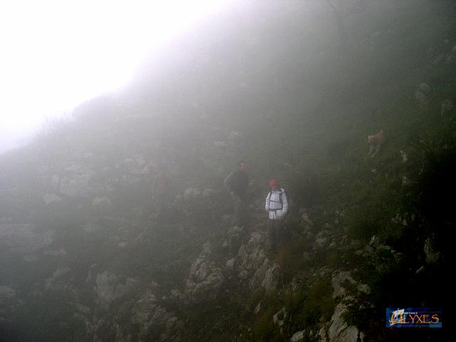 immersi nelle nubi.JPG